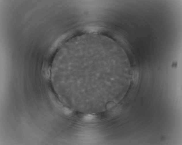 X0000113080718200910091232
