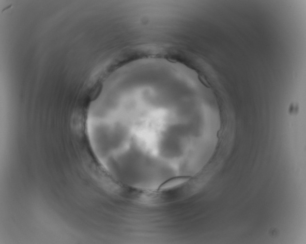 X0000113080720200910091232