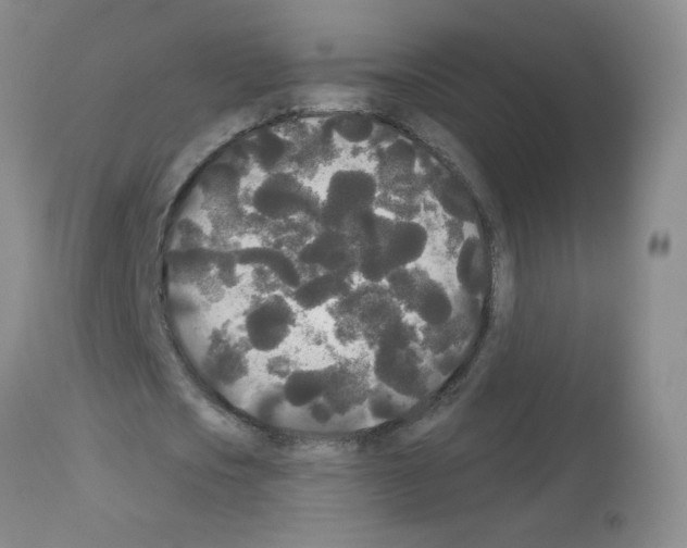 X0000113080721200910091231