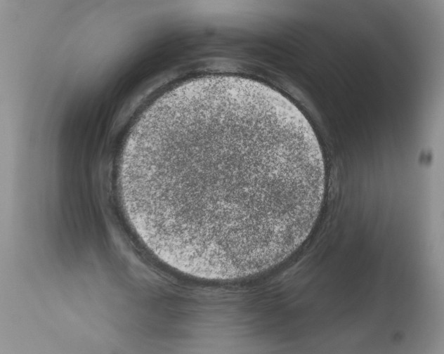 X0000113080722200910091231