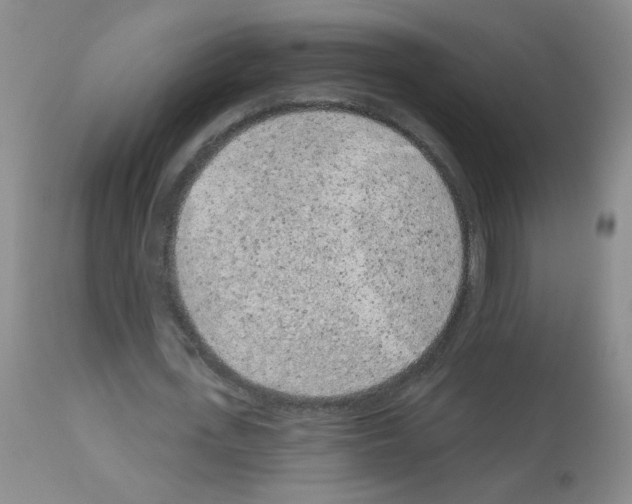 X0000113080723200910091231