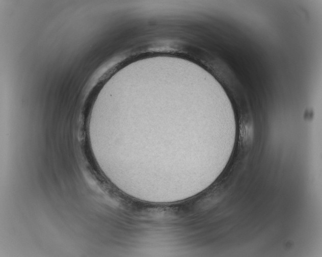 X0000113080724200910091231