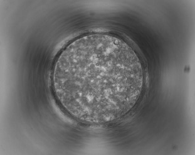 X0000113080725200910091231