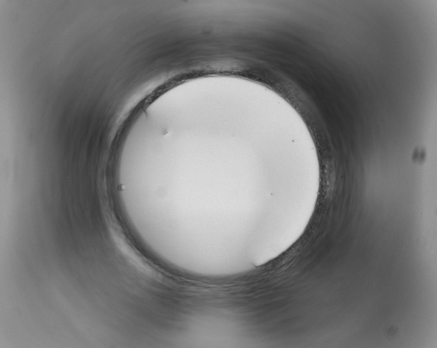 X0000113080726200910091231