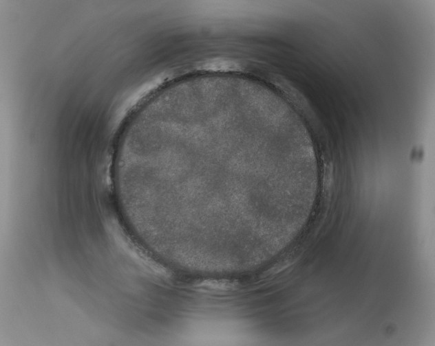X0000113080727200910091231