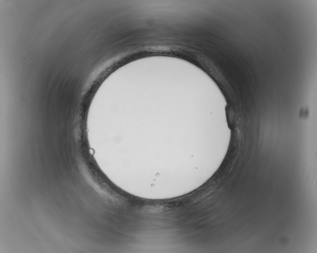 X0000113080728200910091231