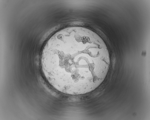 X0000113080729200910091231