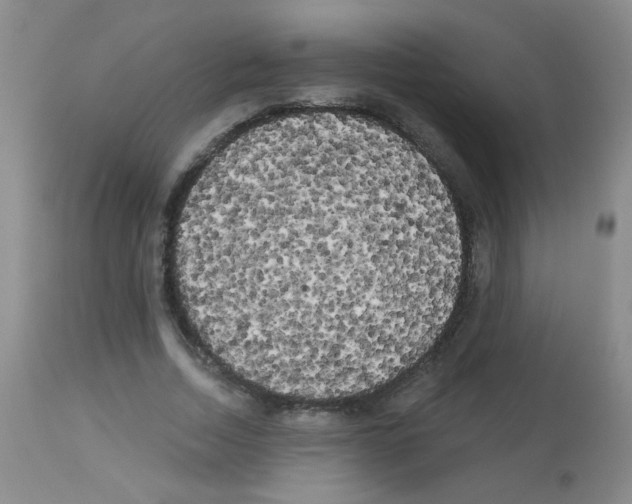 X0000113080730200910091231