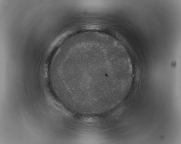 X0000113080731200910091231