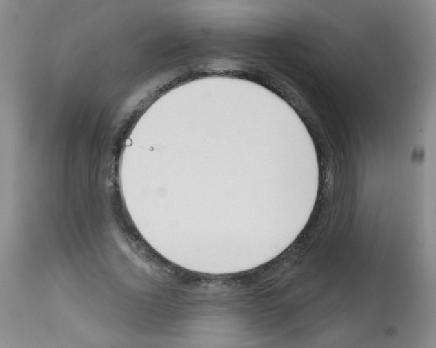 X0000113080732200910091231