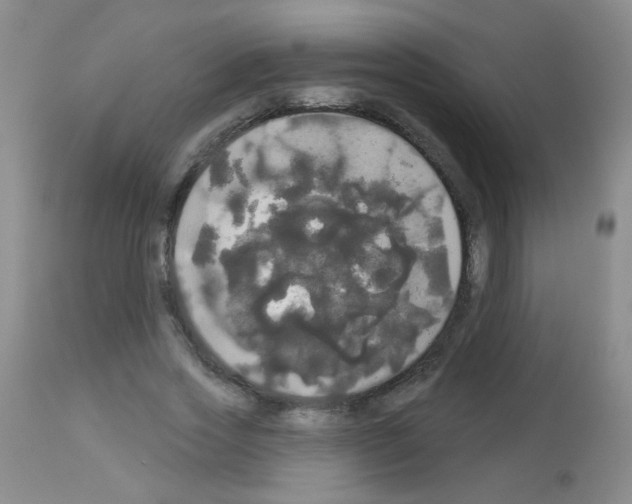 X0000113080733200910091231