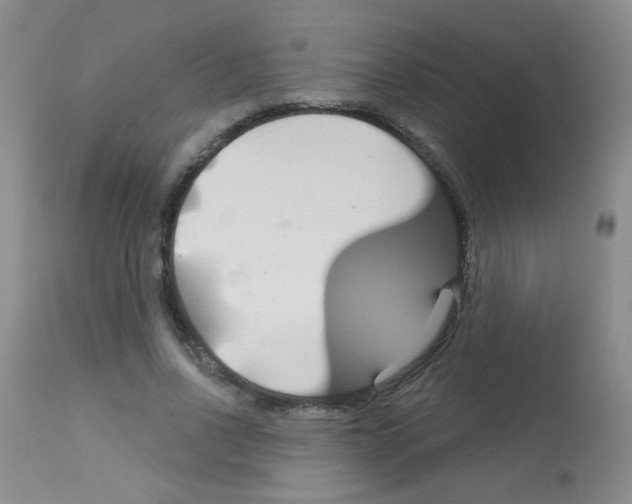 X0000113080734200910091231