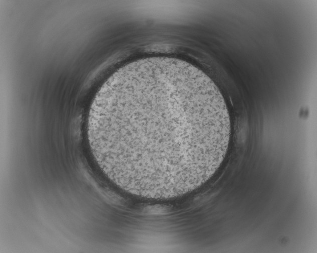 X0000113080735200910091231
