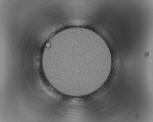 X0000113080736200910091231