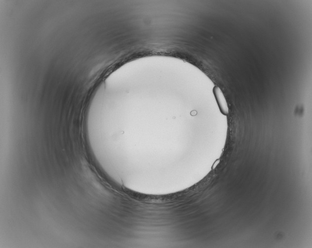 X0000113080740200910091231