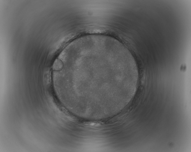 X0000113080743200910091231