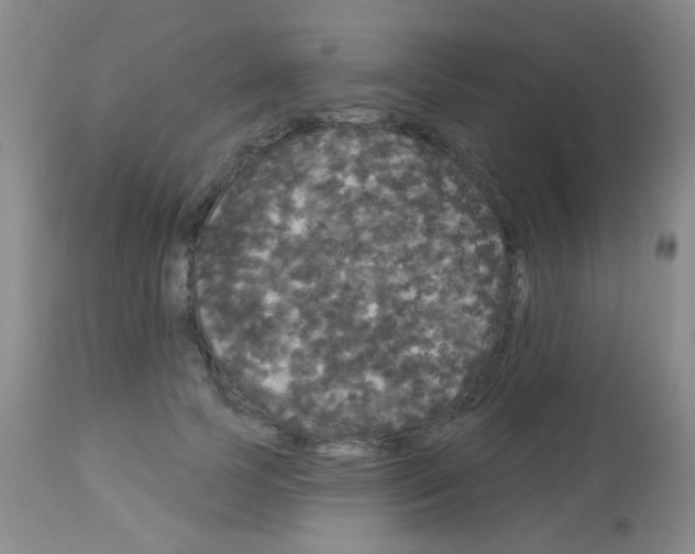 X0000113080745200910091231