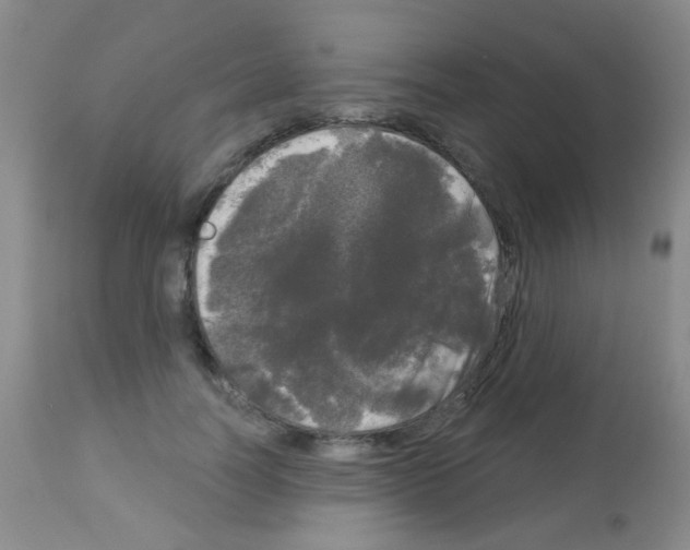 X0000113080746200910091231