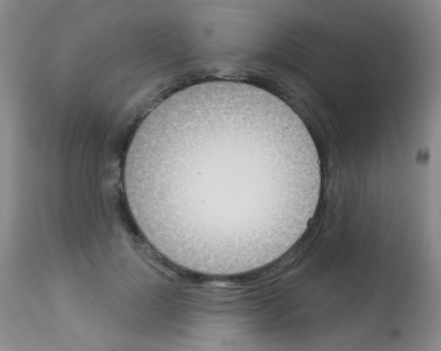 X0000113080748200910091231