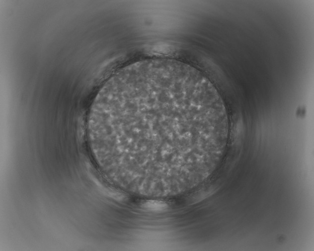 X0000113080749200910091231