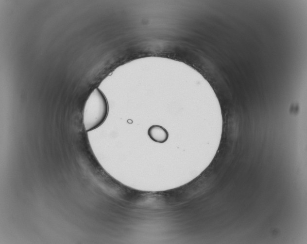 X0000113080750200910091231