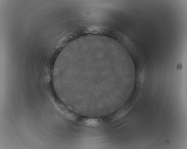 X0000113080751200910091231