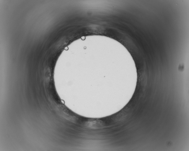 X0000113080752200910091232