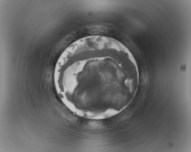 X0000113080753200910091232