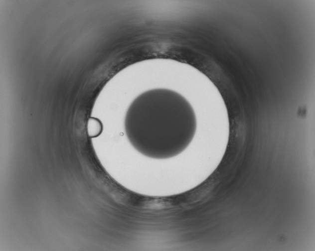 X0000113080754200910091232