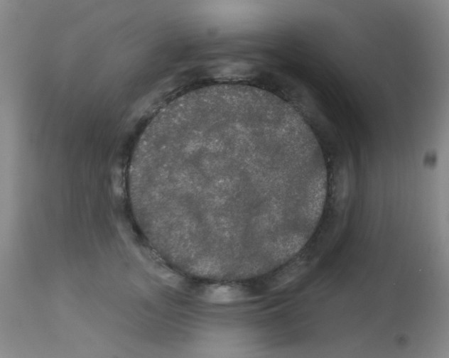 X0000113080755200910091232