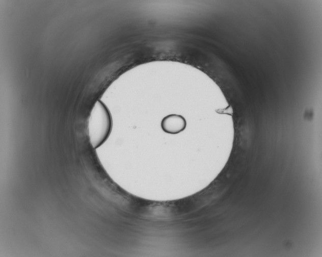 X0000113080756200910091232