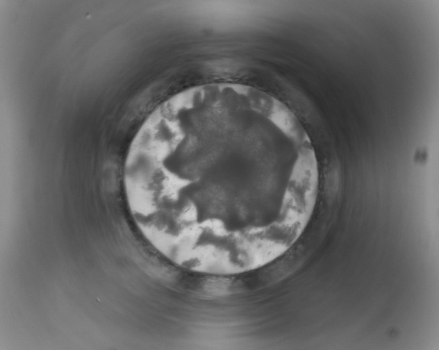 X0000113080757200910091232