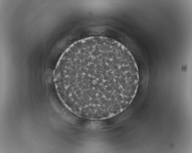 X0000113080758200910091232