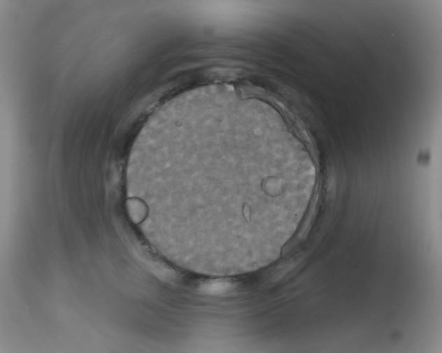 X0000113080759200910091232