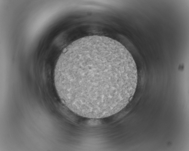 X0000113080762200910091232