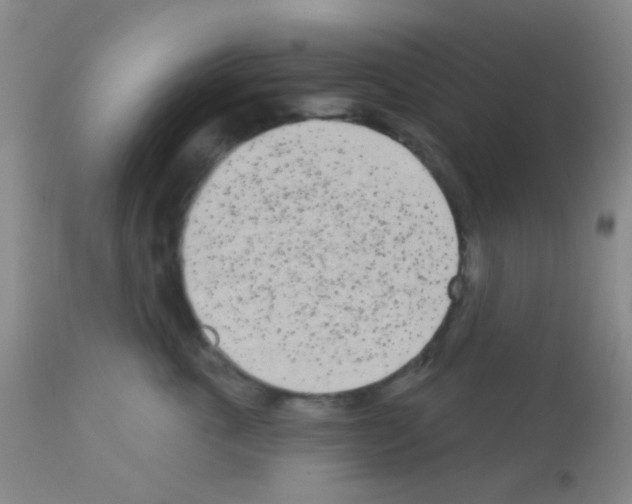 X0000113080763200910091232