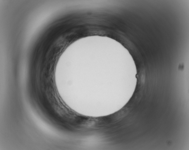 X0000113080764200910091232