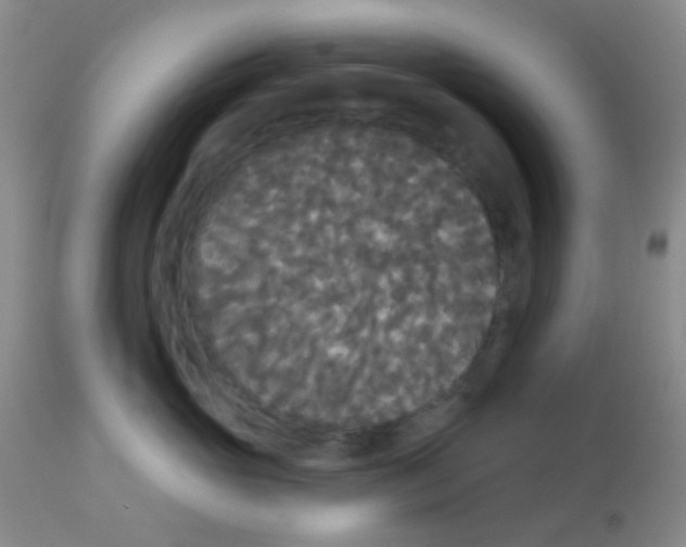 X0000113080765200910091232