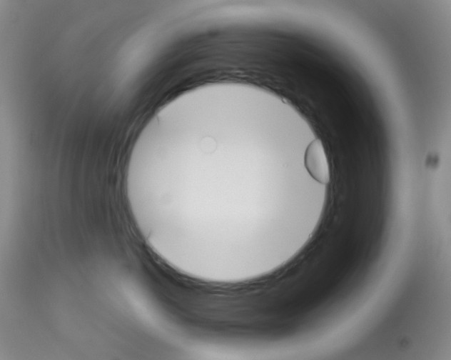 X0000113080766200910091232