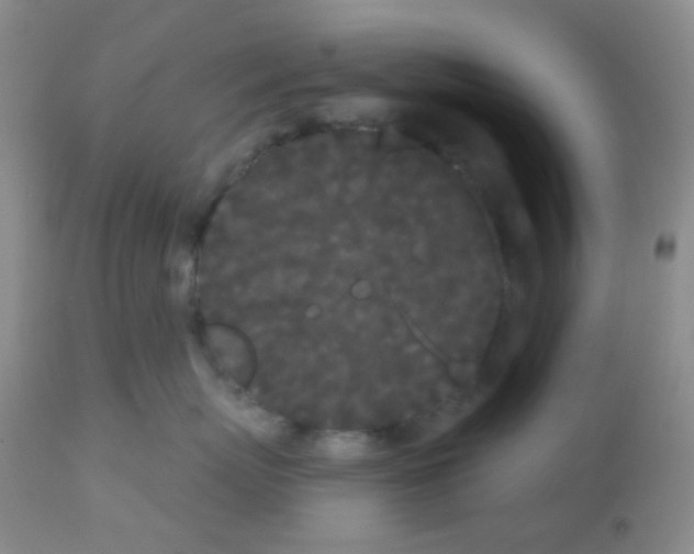 X0000113080767200910091232