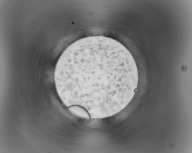 X0000113080768200910091232