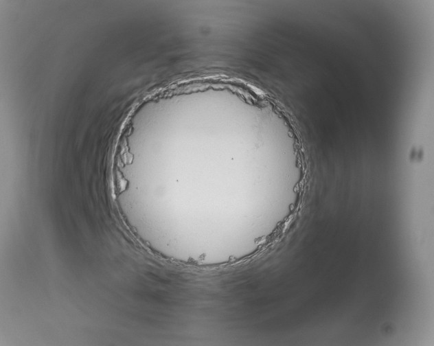 X0000113080769200910091231