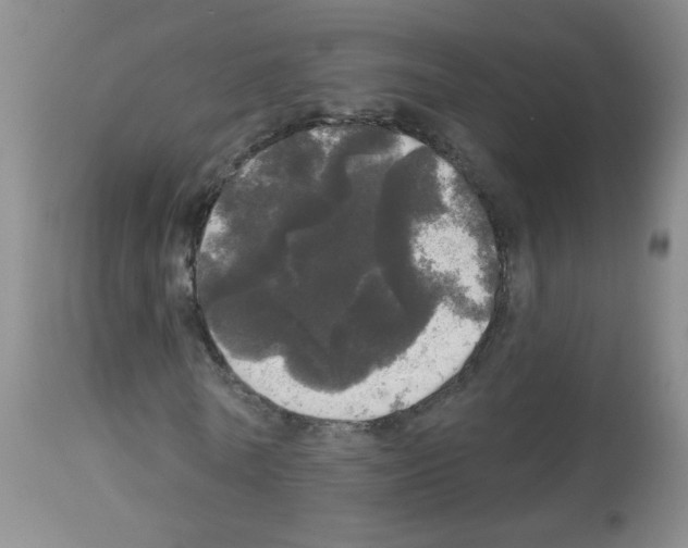 X0000113080770200910091231