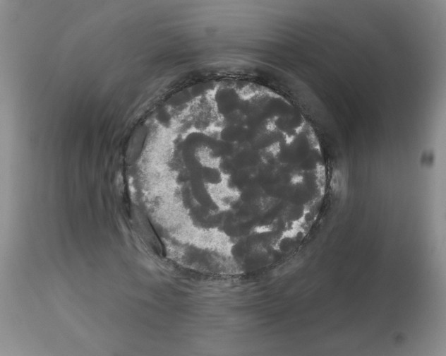 X0000113080771200910091231