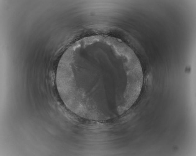 X0000113080772200910091231