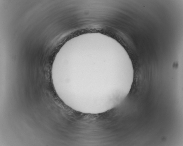 X0000113080773200910091231