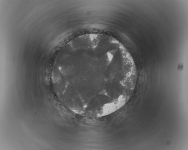 X0000113080774200910091231