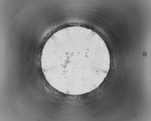 X0000113080775200910091231