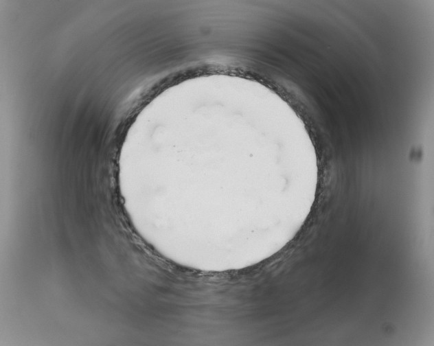 X0000113080776200910091231