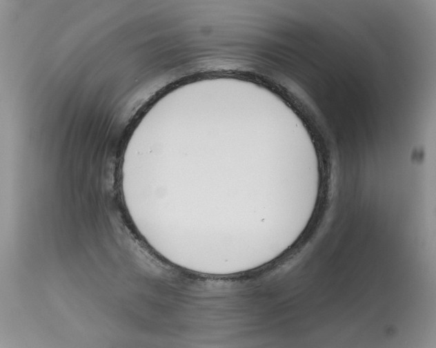 X0000113080777200910091231
